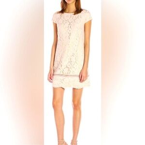 Vince Camuto Cream Lace Mini Dress NWT!